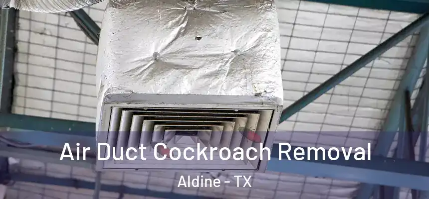  Air Duct Cockroach Removal Aldine - TX