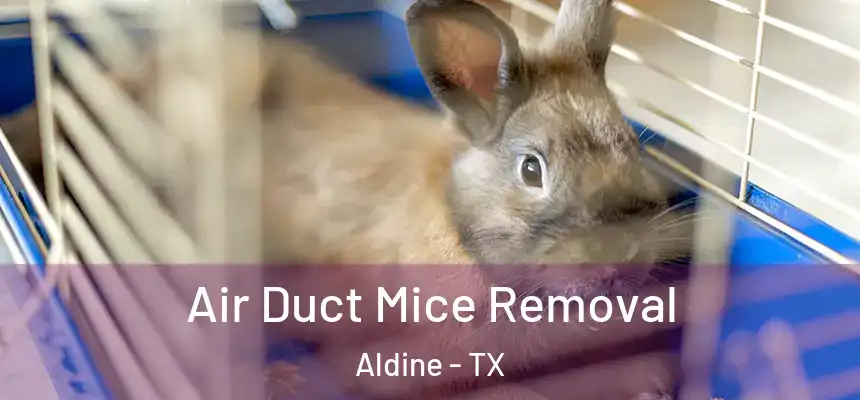  Air Duct Mice Removal Aldine - TX