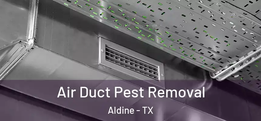 Air Duct Pest Removal Aldine - TX