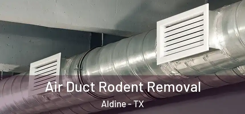  Air Duct Rodent Removal Aldine - TX