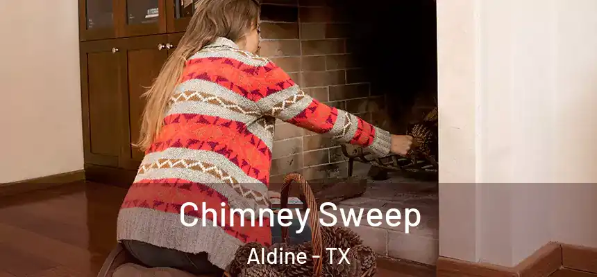  Chimney Sweep Aldine - TX