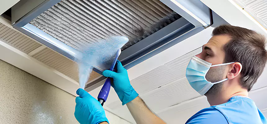 Proactive Dryer Vent & Auxiliary Duct Pollen Cleanup in Aldine, TX
