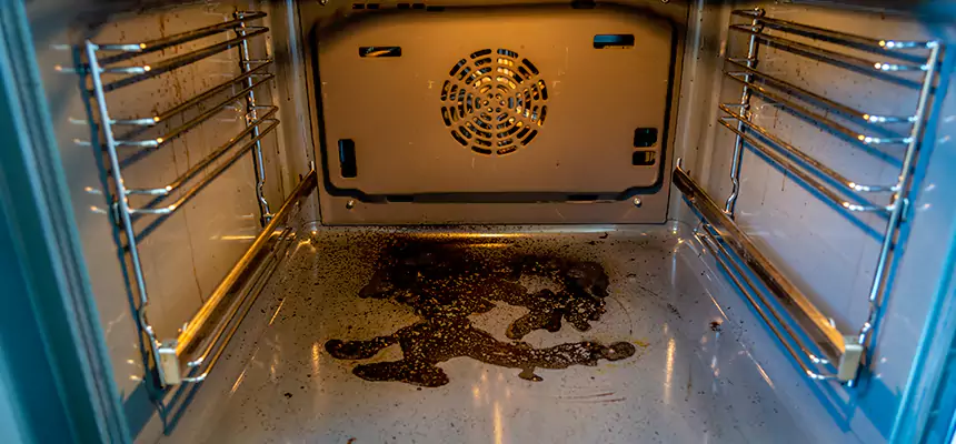 Our Dryer Vent Mold Cleaning Services in Aldine, TX