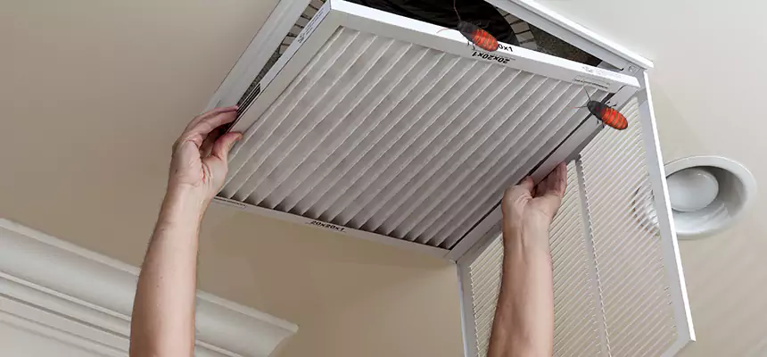 Our Insect Removal from Air Ducts Services in Aldine, TX