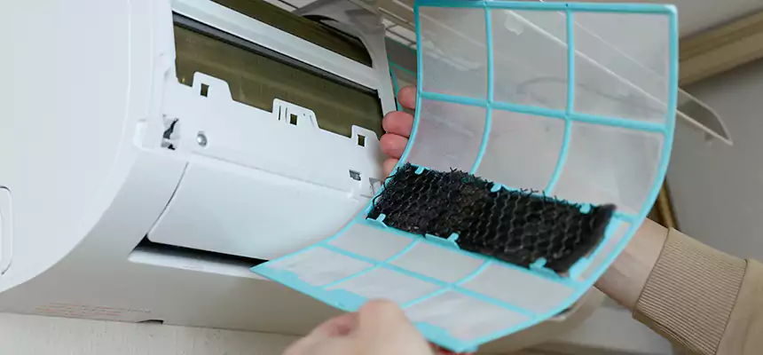 Gentle Ductwork Odor-Control Pet Dander Duct Cleaning in Aldine, TX