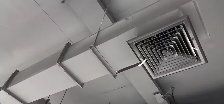 Our Rodent Droppings In Vents Services in Aldine, TX