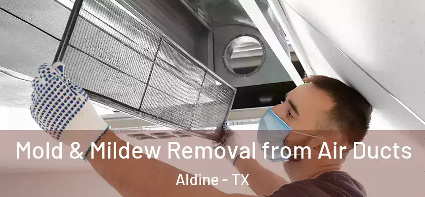 Mold & Mildew Removal from Air Ducts Aldine - TX
