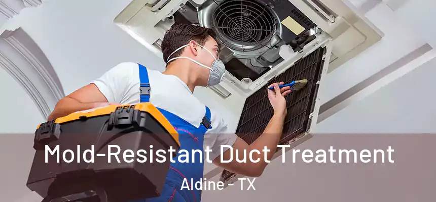  Mold-Resistant Duct Treatment Aldine - TX
