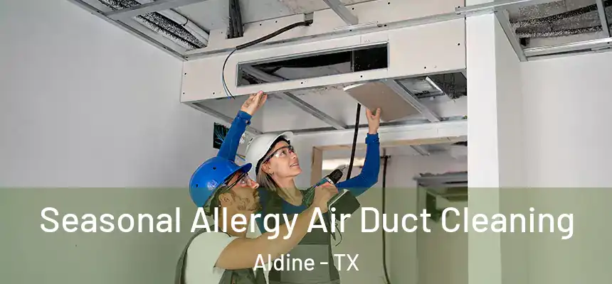  Seasonal Allergy Air Duct Cleaning Aldine - TX
