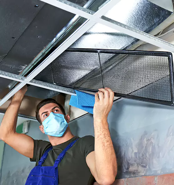 Professional Air Duct Pollen Cleaning in Aldine, TX