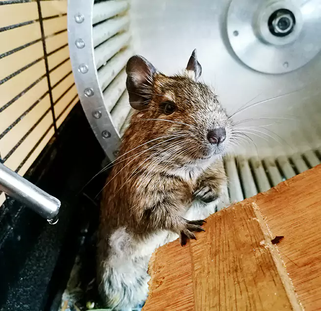 Why Homeowners & Businesses Trust Us Aldine, TX?