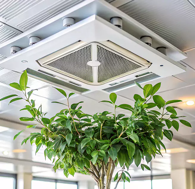 Why Homeowners & Businesses Trust Us in Aldine, TX