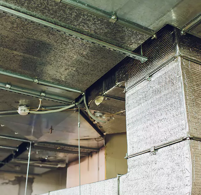 Why Homeowners & Businesses Trust Us in Aldine, TX?